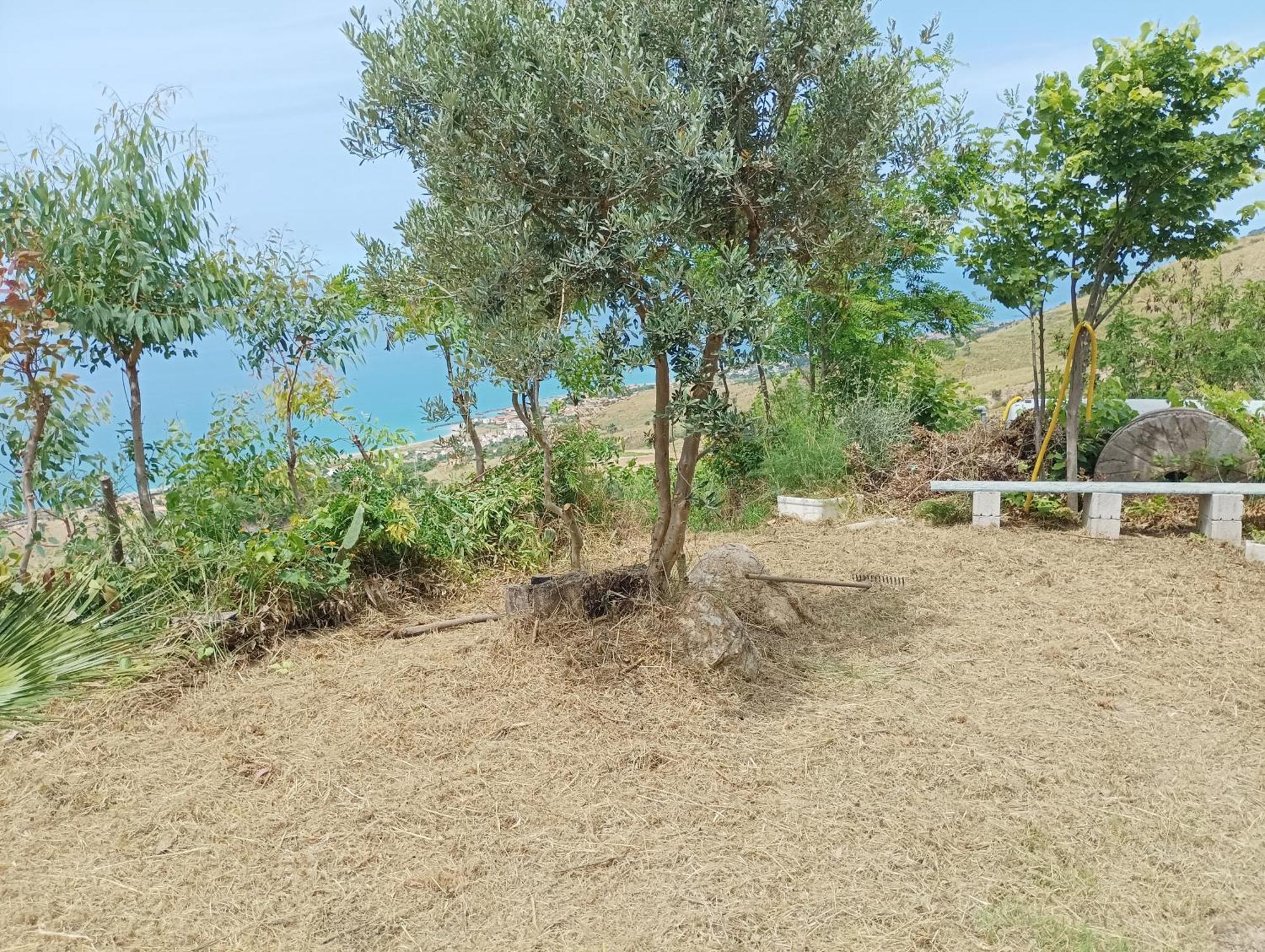 Palapico Hotell Bonifati Exteriör bild