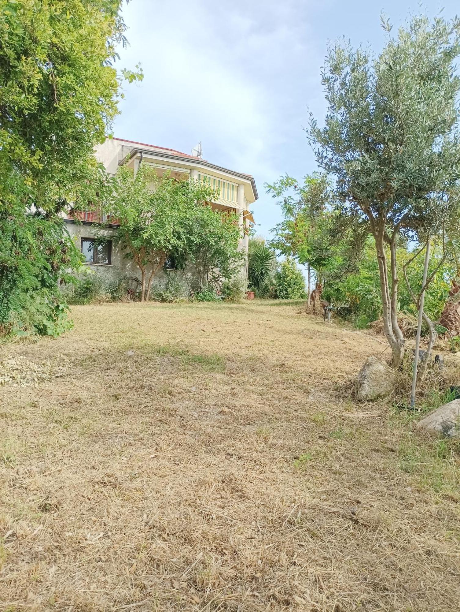 Palapico Hotell Bonifati Exteriör bild